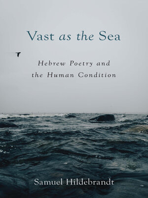 cover image of Vast as the Sea